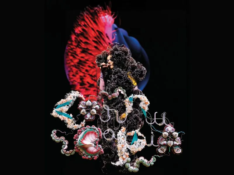 Bjork