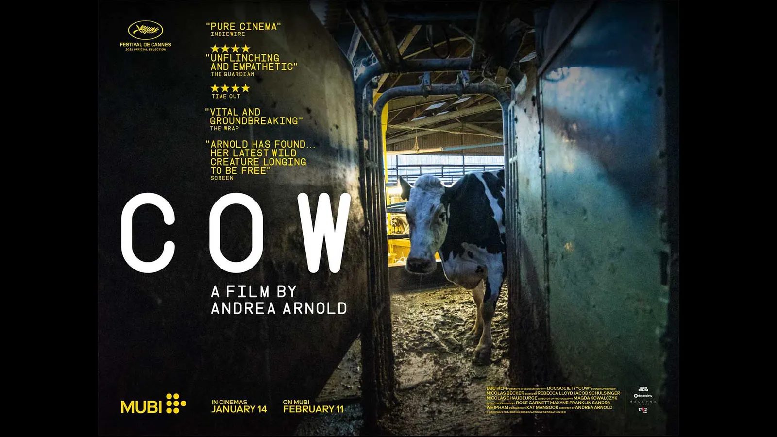 COW